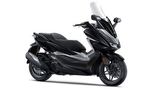 TYPE J ASTEROID BLACK METALLIC NHA35M