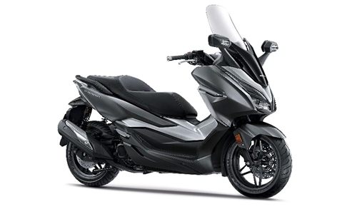 TYPE J SWORD SILVER METALLIC NHA95M