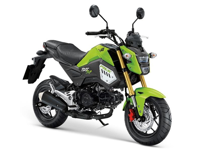 TYPE J INCREDIBLE GREEN GY134