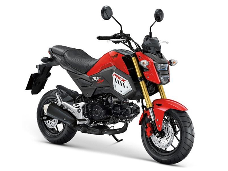 TYPE J GAYETY RED R310