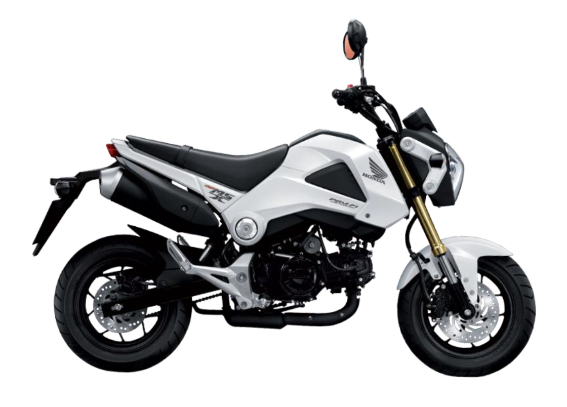 TYPE D HIMALAYAS PEARL WHITE NHA87P