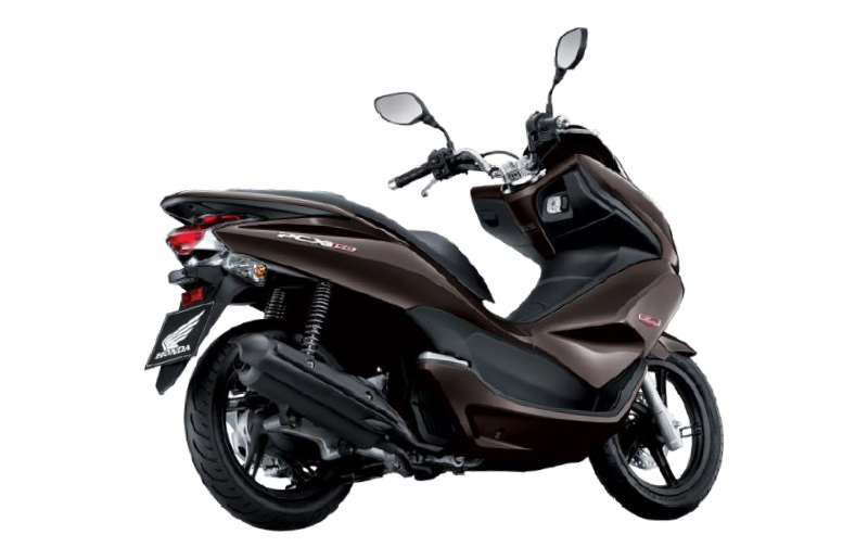 TYPE D HAVANA BROWN METALLIC YR304M