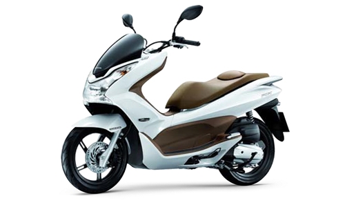 TYPE D HIMALAYAS PEARL WHITE NHA87P BROWN