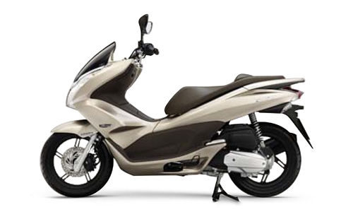 TYPE D GLAMOUR GOLD METALLIC YR301M