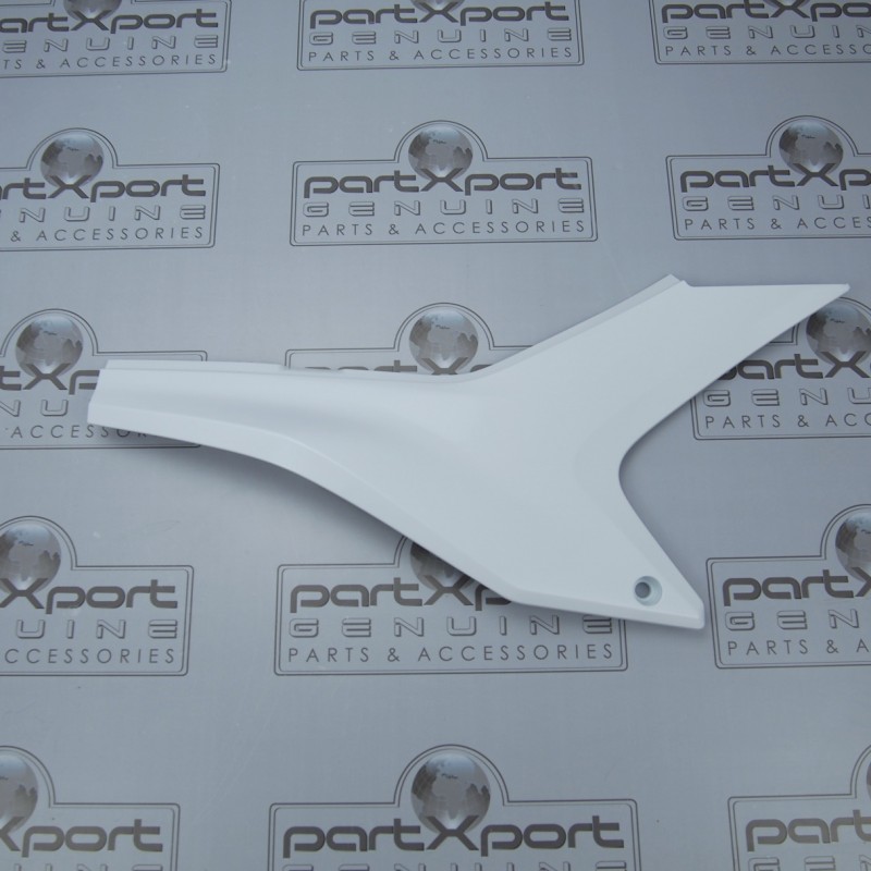 COVER,SIDE R